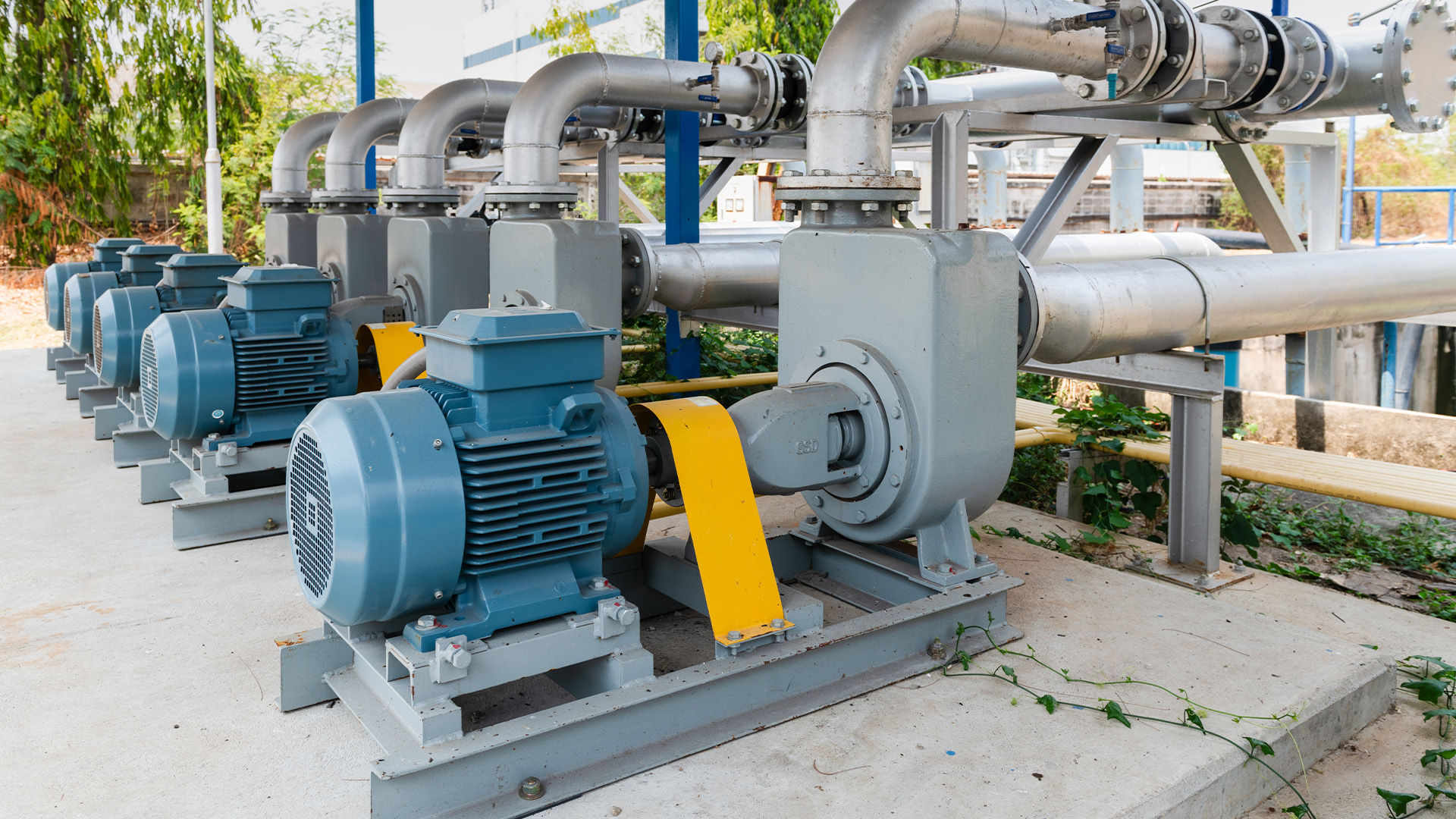 Case Study: Energy-Efficient Motors 